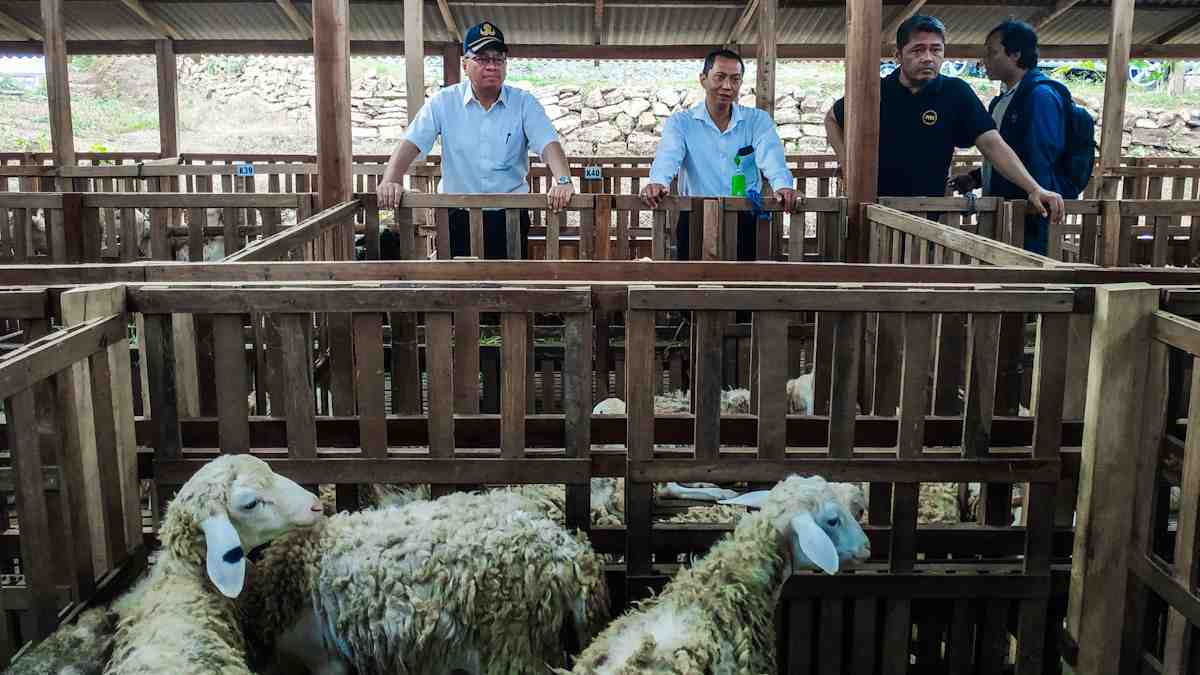 PUBLIKASIKAN POTENSI DAERAH