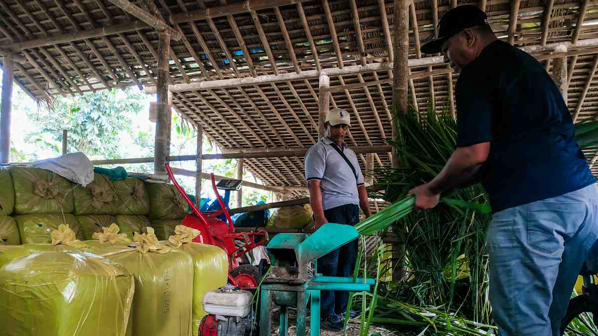 PENGOLAHAN PAKAN TERNAK 