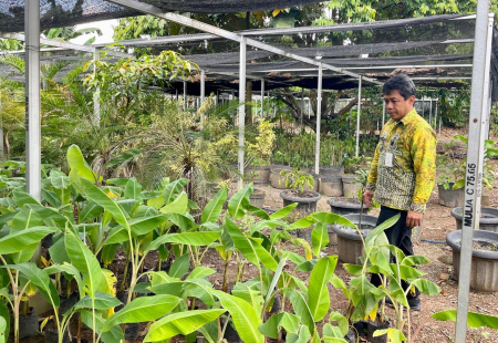 TINJAU PEMBENIHAN BIBIT TANAMAN
