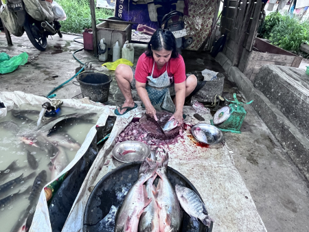 POTONG IKAN SEGAR