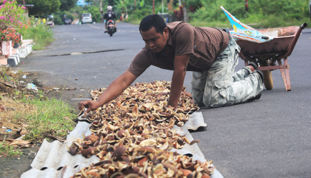 PENGERINGAN KOPRA PUTIH