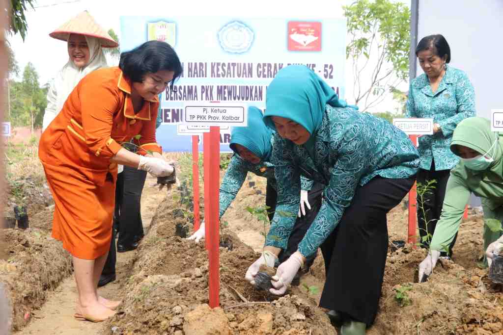 GERAKAN TANAM CABAI DI PERBATASAN SANGGAU