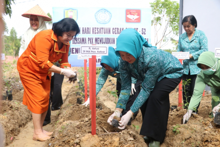 GERAKAN TANAM CABAI DI PERBATASAN SANGGAU