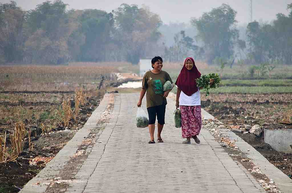 JALAN USAHA TANI KELURAHAN BERAN BLORA