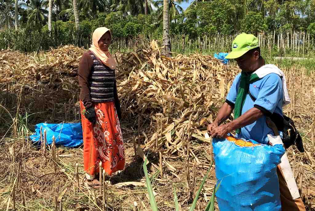 JAHIT KARUNG JAGUNG