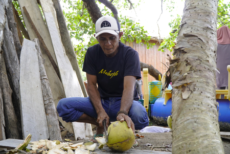 MANFAAT KELAPA MUDA