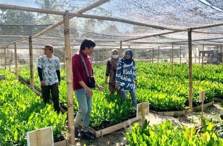 KEBUN BIBIT RAKYAT