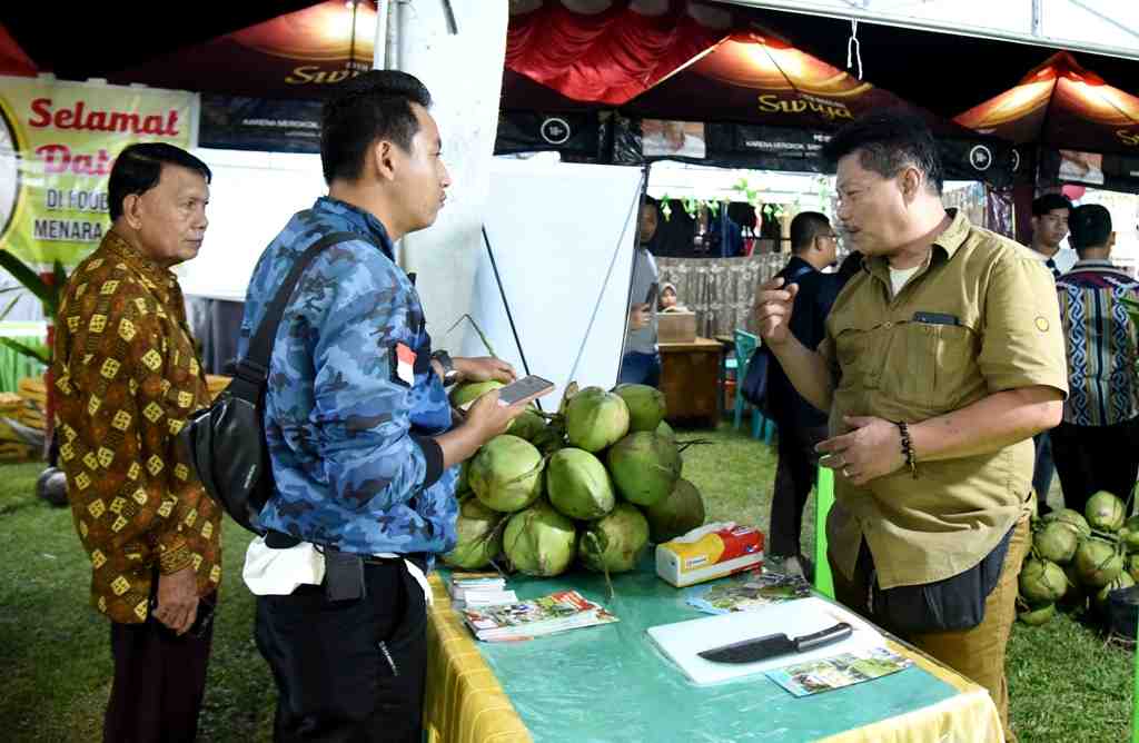 KELAPA GENJAH PANDAN WANGI