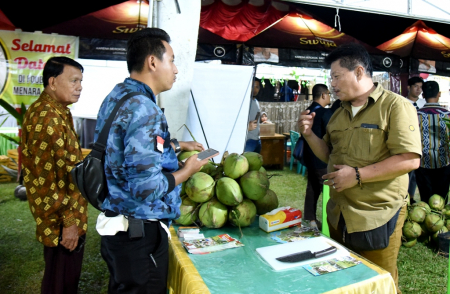 KELAPA GENJAH PANDAN WANGI