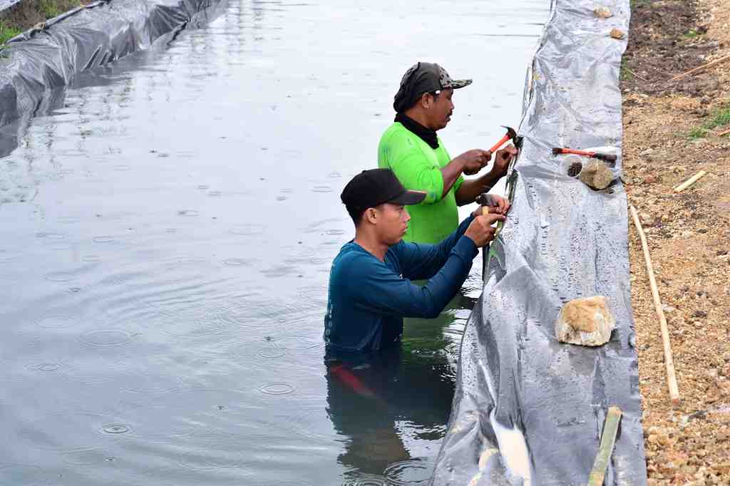 KOLAM IKAN AIR TAWAR
