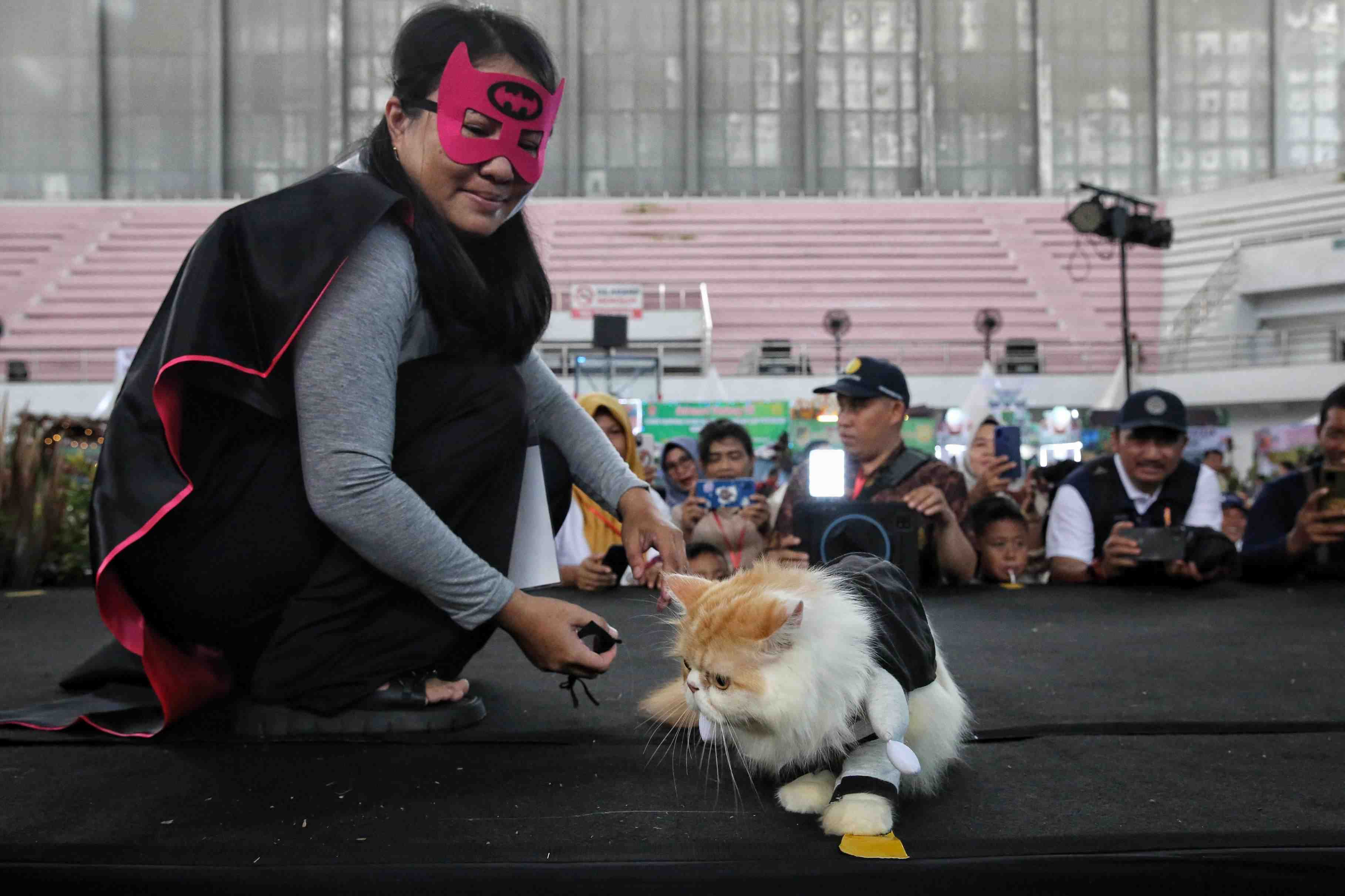 FASHION SHOW CAT DI PALANGKA RAYA