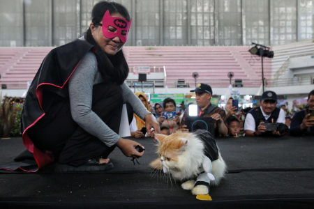 FASHION SHOW CAT DI PALANGKA RAYA