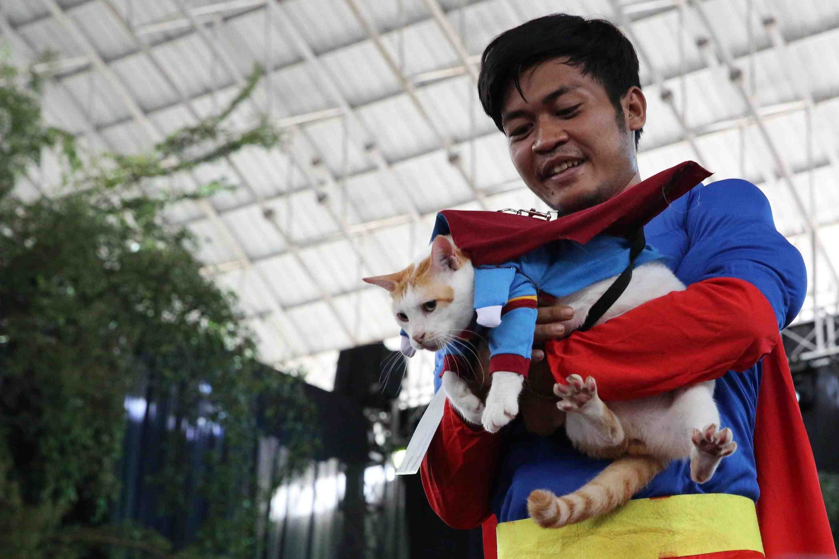 FASHION SHOW CAT DI PALANGKA RAYA 