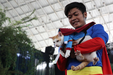 FASHION SHOW CAT DI PALANGKA RAYA 