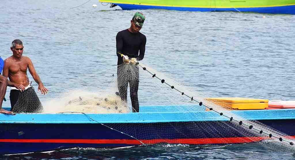 LEPAS IKAN DARI JARING