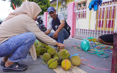 MEMILIH BUAH DURIAN