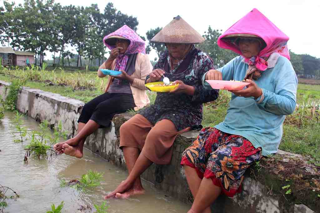 MAKAN DI PEMATANG SAWAH