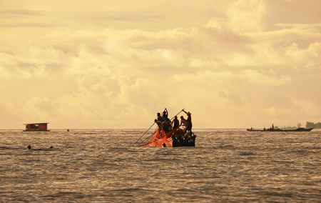 MENJALA IKAN