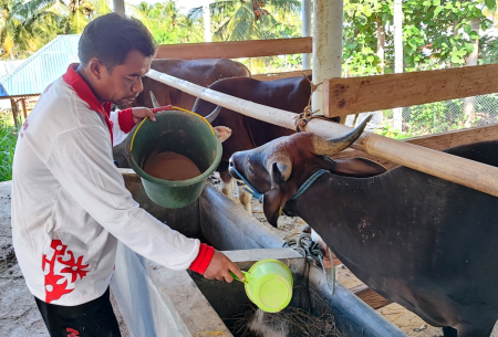 MANFAAT PEMBERIAN PAKAN DEDAK