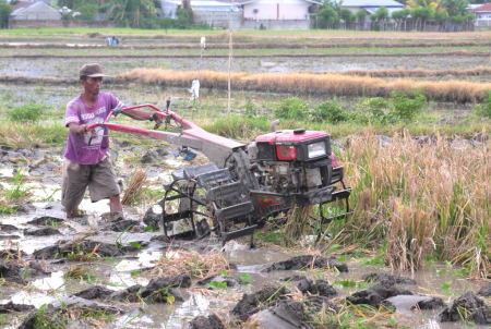 MEMBAJAK SAWAH