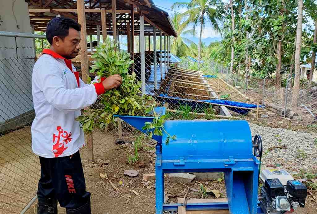 MENCACAH PAKAN SAPI