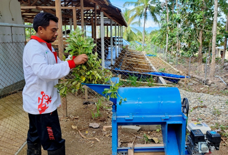 MENCACAH PAKAN SAPI