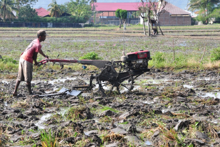 MERATAKAN LAHAN SAWAH