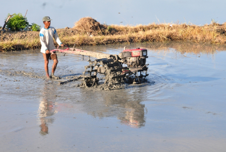 MERATAKAN LUMPUR SAWAH