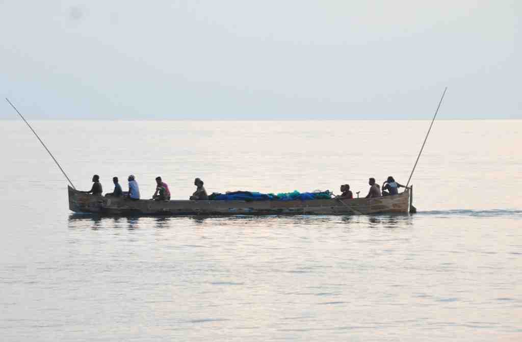 MUSIM IKAN DUWO