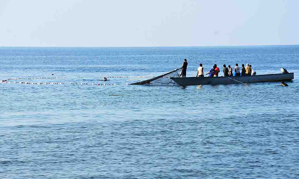 TEBAR JARING IKAN