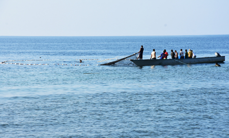 TEBAR JARING IKAN