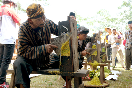 MERAJANG DAUN TEMBAKAU 