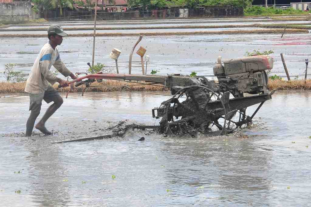OLAH LAHAN SAWAH