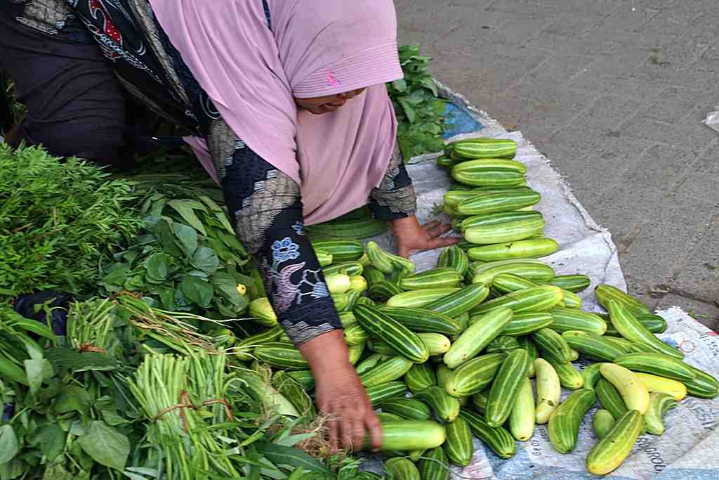 PENJUAL KRAI di PASAR TRADISIONAL BLORA