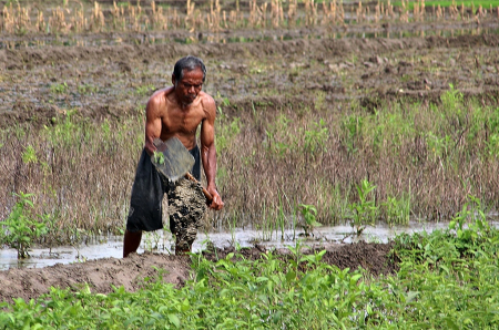 PERBAIKI PEMATANG SAWAH