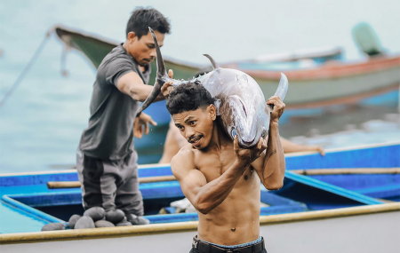PIKUL IKAN TUNA