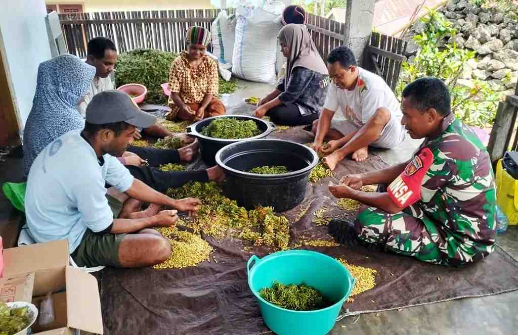 PISAHKAN CENGKEH DARI TANGKAI