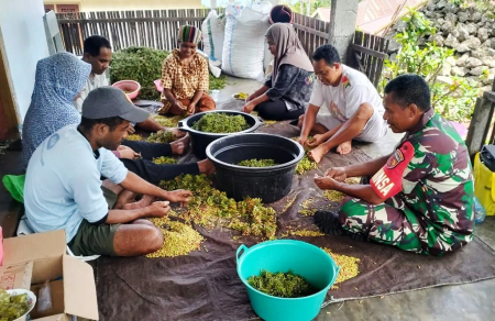 PISAHKAN CENGKEH DARI TANGKAI