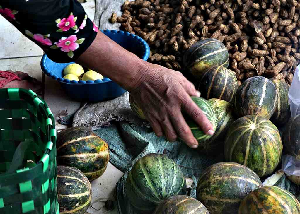 PILIH BUAH BLEWAH
