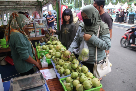 PILIH BUAH JAMBU KRISTAL