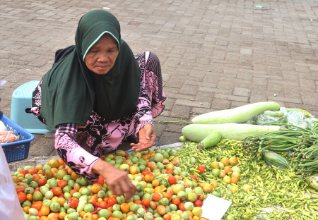 PILIH BUAH TOMAT
