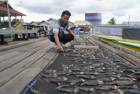JEMUR IKAN ASIN LELE
