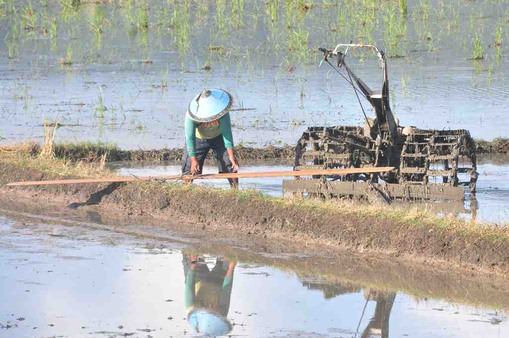 PASANG PAPAN TRAKTOR