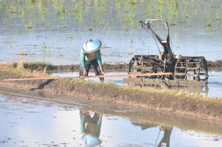 PASANG PAPAN TRAKTOR