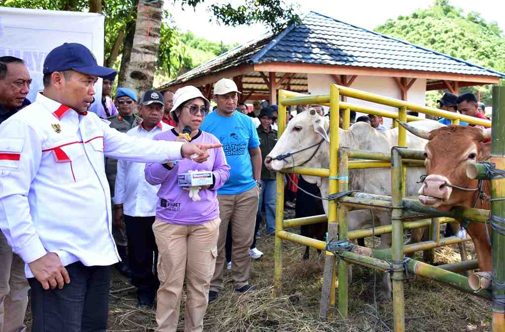 PELAYANAN INSEMINASI BUATAN