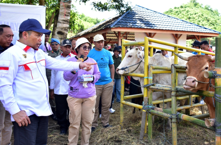 PELAYANAN INSEMINASI BUATAN