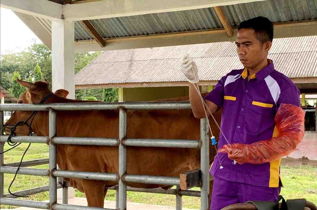 PERIKSA ALAT IB