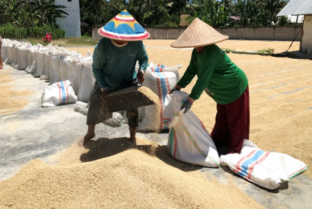 PRODUKSI GKG GORONTALO