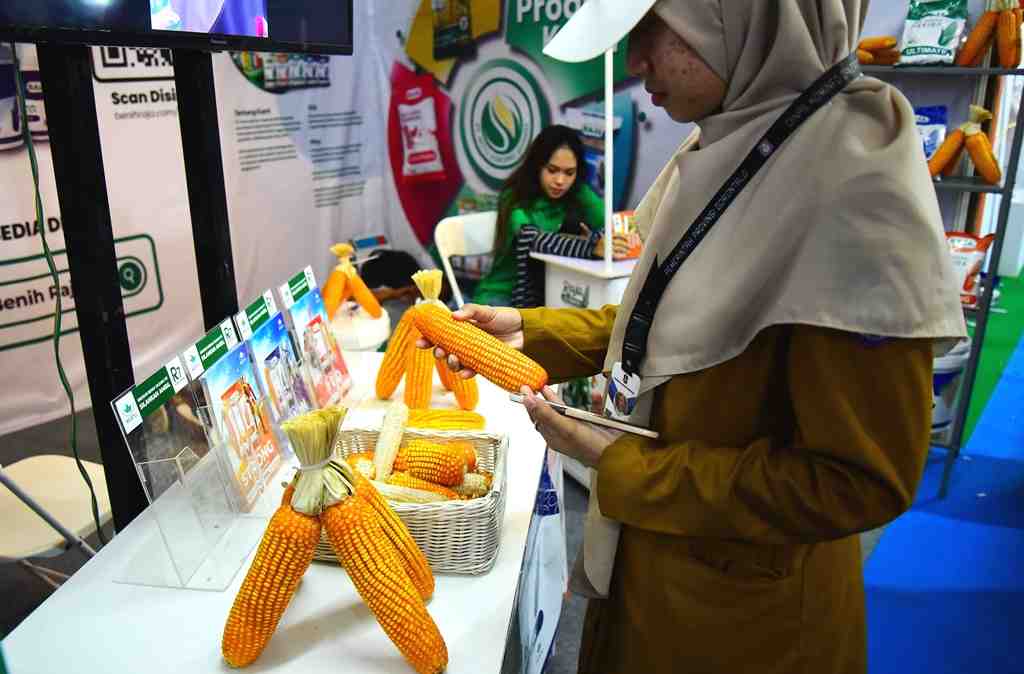 PRODUKSI JAGUNG NASIONAL