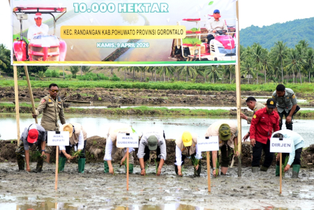 PROGRAM CETAK SAWAH RAKYAT